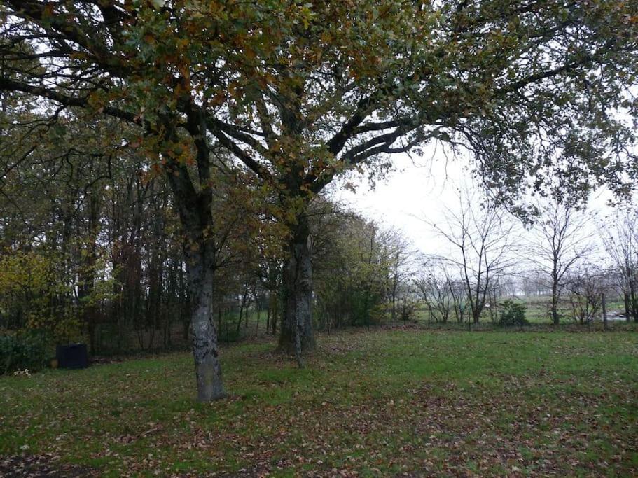 Charmante Maison En Campagne Grand-Fougeray Екстер'єр фото